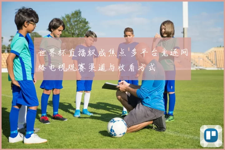 世界杯直播权成焦点 多平台竞逐网络电视观赛渠道与收看方式